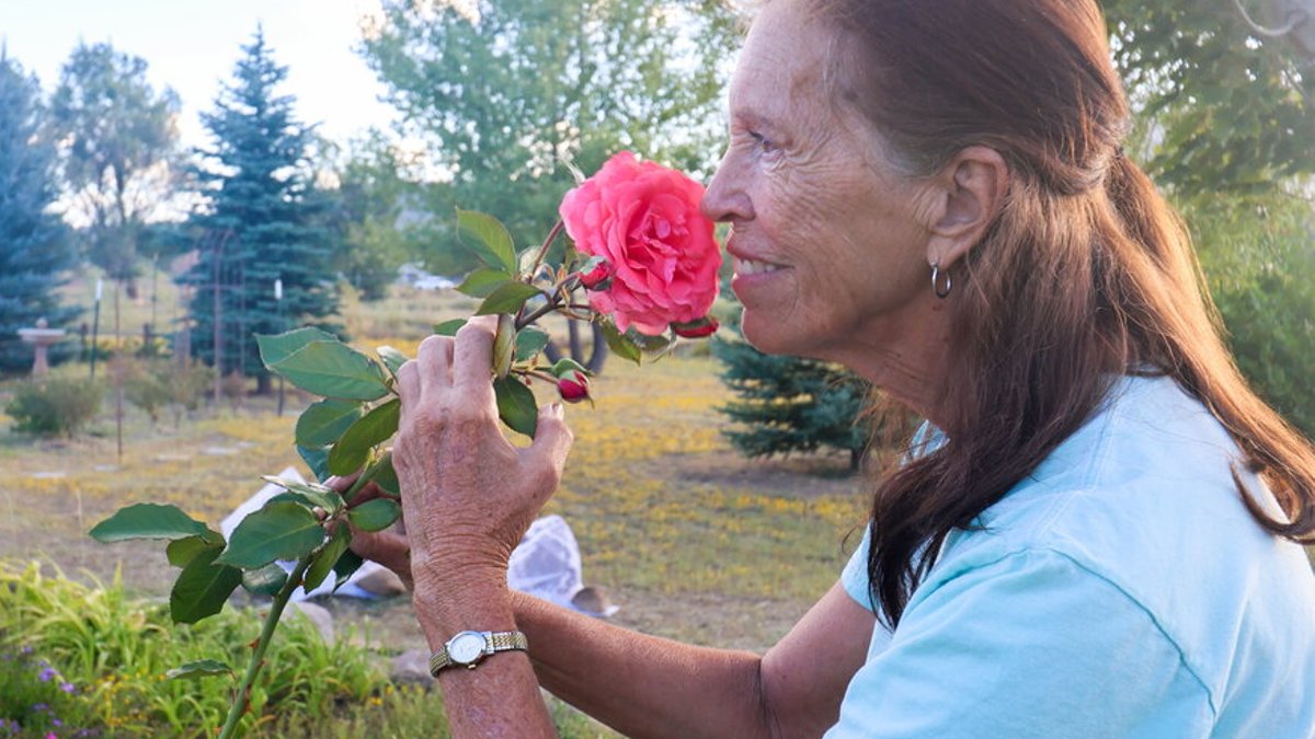 Arizona Woman Offers Free Flowers to Community Arizona Woman Offers Free Flowers to Community - free flowers