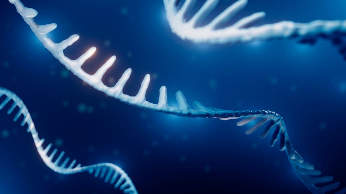 ADARx Raises $535M in IPO for RNA-Targeted Therapies ADARx Raises $535M in IPO for RNA-Targeted Therapies - rna therapies