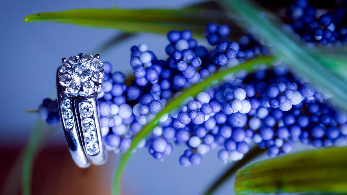 Close-up of a sparkling diamond ring nestled amidst blue foliage, capturing luxury and elegance.