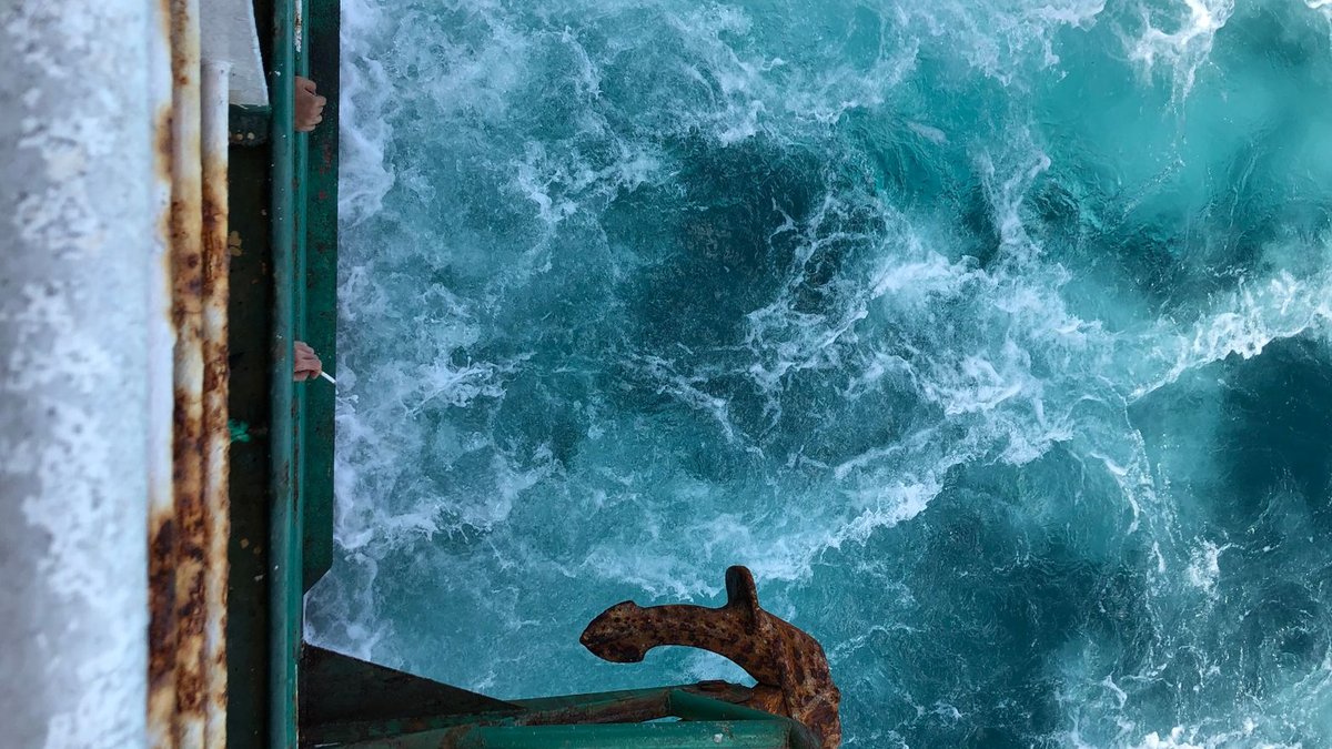 MSC Partners with China Institute on Seafarer Assessment A rusty ship anchor overlooks turbulent sea waves, capturing the essence of maritime adventure.