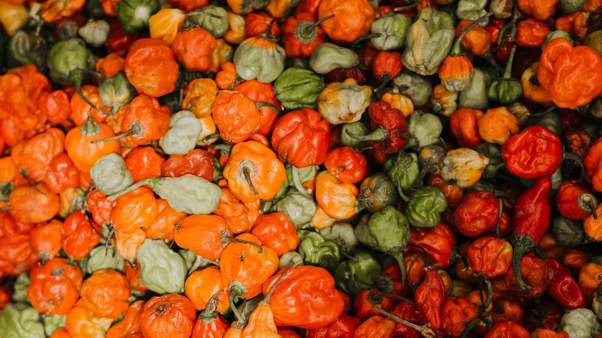 Vibrant mix of fresh peppers in various colors for culinary use.