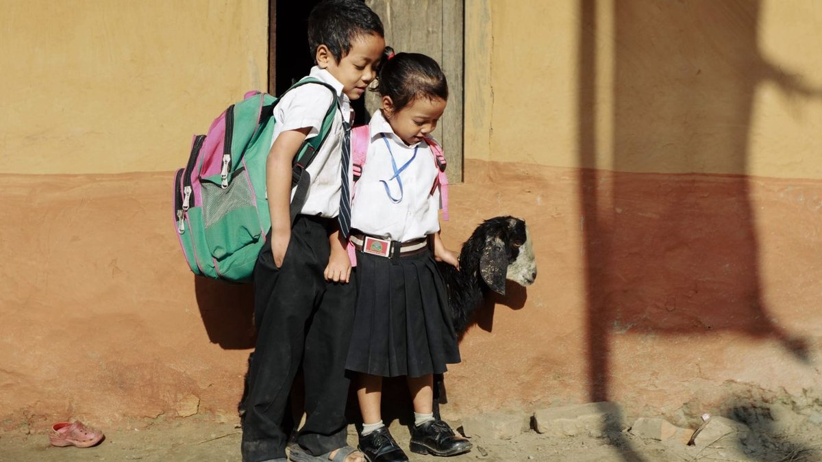 Dubai schools ban unauthorized student photos without consent Two schoolchildren in uniforms holding a lamb outdoors, ready for school.