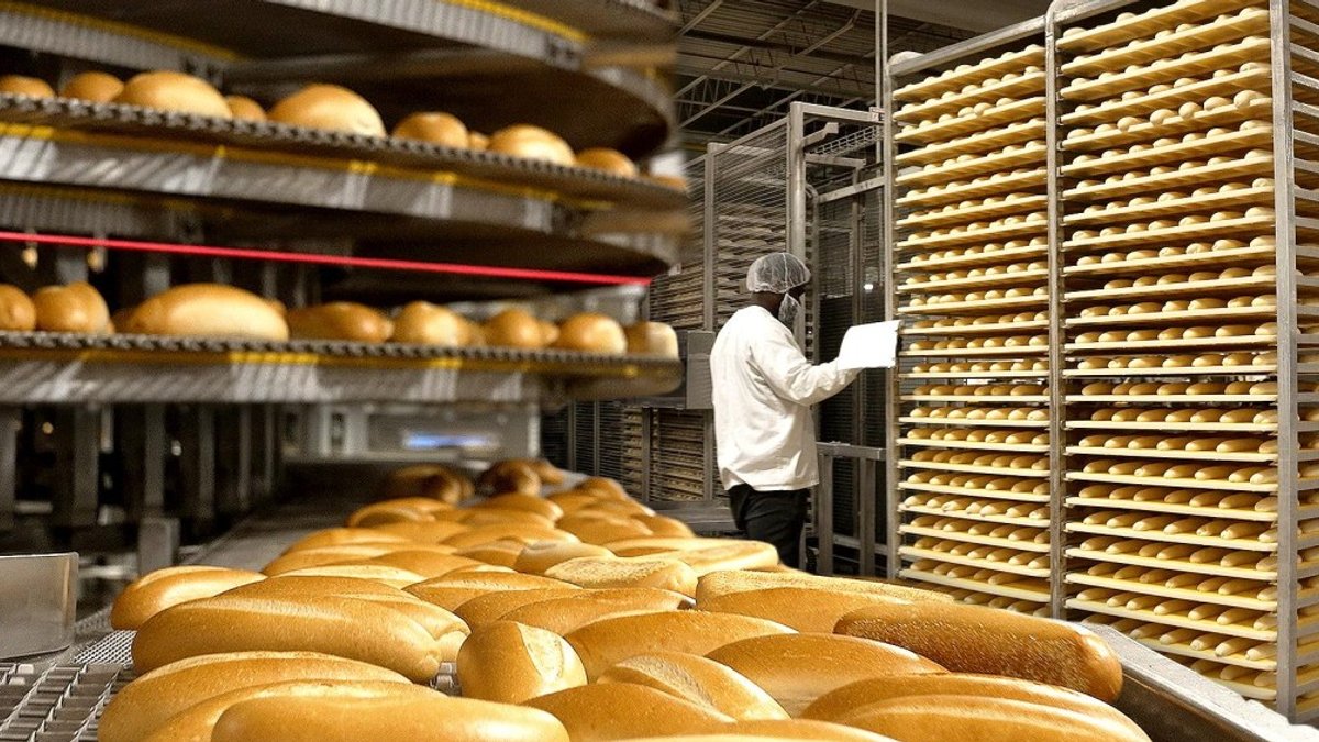 Philly bakery produces millions of cheesesteak rolls daily