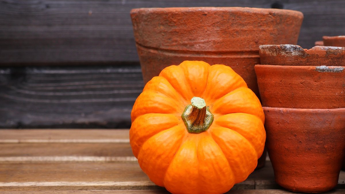 TikTok Creator Shares Budget-Friendly Halloween Terracotta Pot DIY - terracotta pot