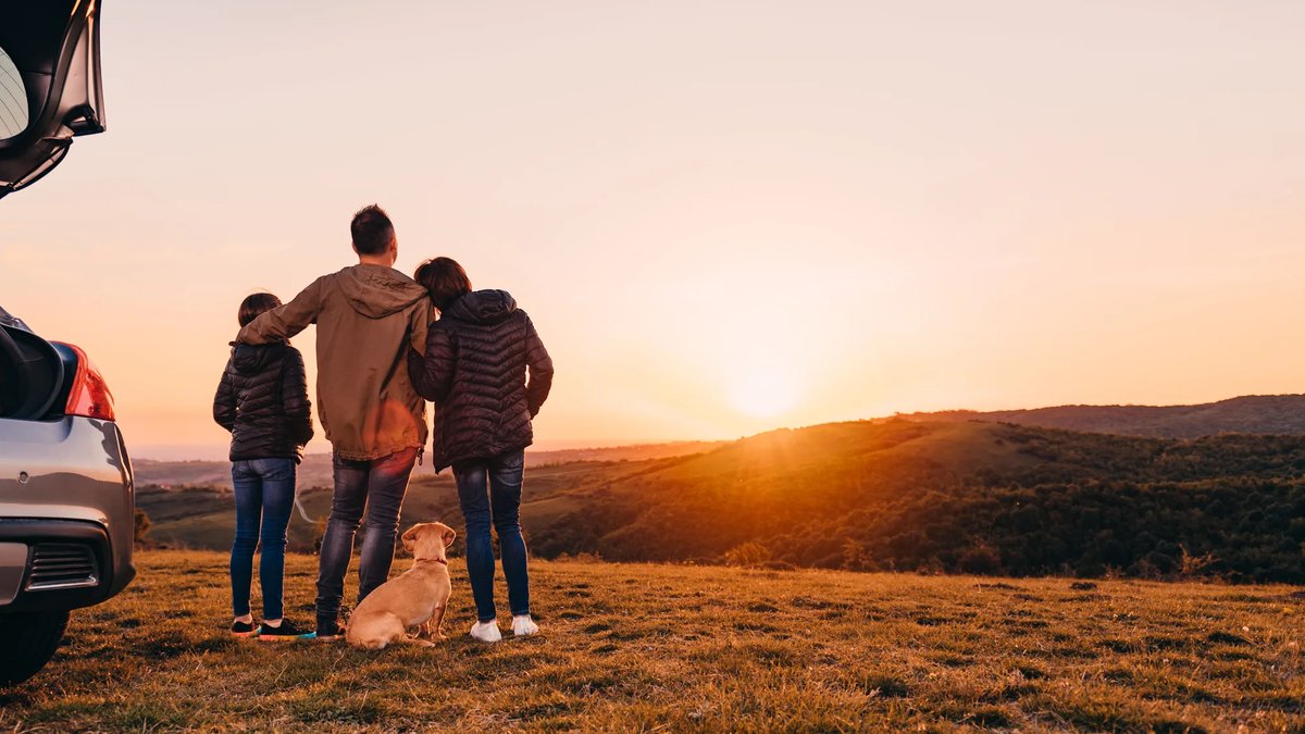 New Zealand insurer Provident emerges with 250,000 customers - new zealand insurer