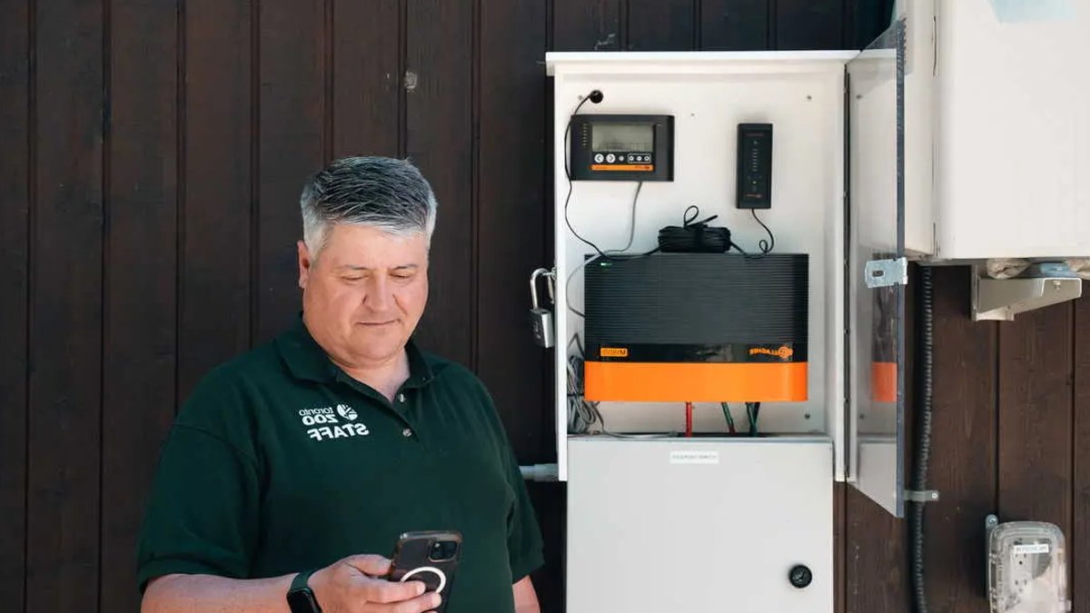 Toronto Zoo upgrades orangutan fences with smart security alerts Toronto Zoo upgrades orangutan fences with smart security alerts - smart zoo security
