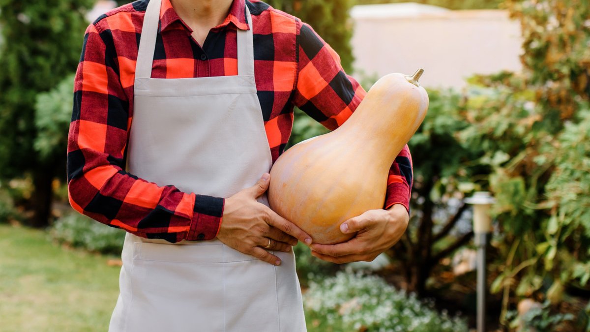 DIY Gourd Lanterns Offer Rustic Garden Lighting DIY Gourd Lanterns Offer Rustic Garden Lighting - rustic garden lighting