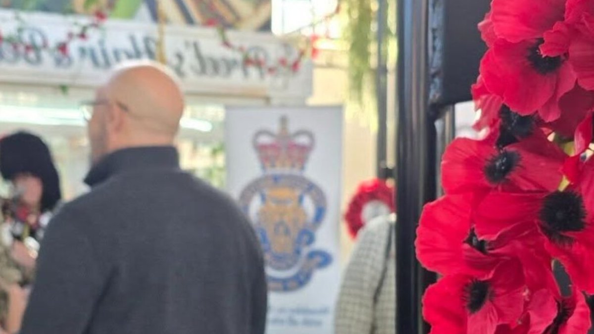 Swansea Launches Poppy Appeal, Honors Veterans with Events - poppy appeal