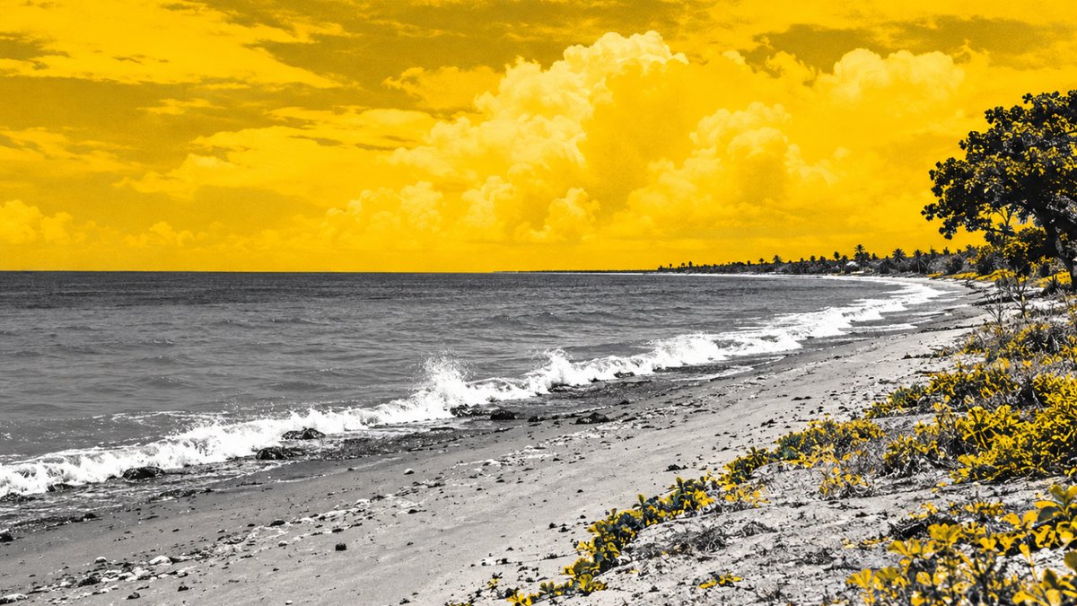 Surfers Fear Beach Upgrades Will Introduce Fees - surfers fear beach upgrades