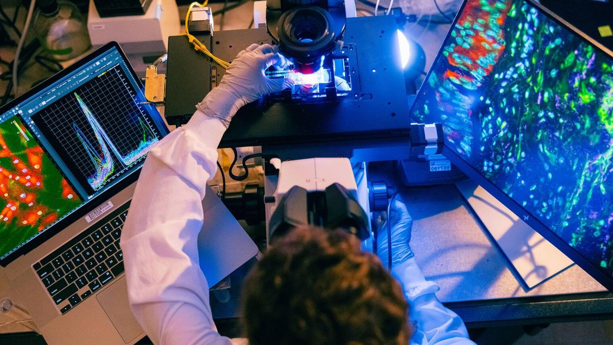 A medical researcher adjusts a slide as she looks at it through the stereo microscope. The microscope is connected to a monit