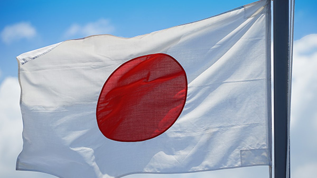 Japan pushes for domestic captive insurance rules - captive insurance rules