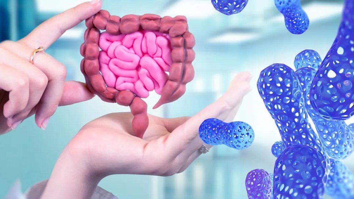 IFF introduces probiotic strain to boost metabolic health through gut-derived - probiotic metabolic health