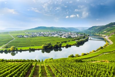 Trittenheim © shutterstock sight image