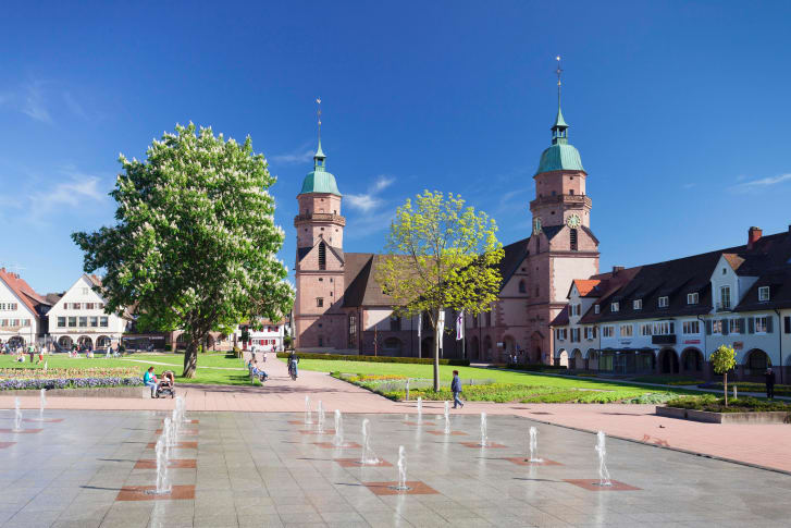 sight image