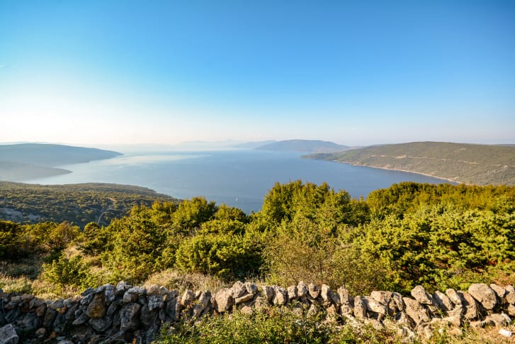 sight image