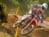 ADAC MX Masters 2013