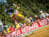 ADAC MX Masters 2015, Ried, Ried im Innkreis