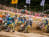 ADAC MX Masters 2015, Tensfeld