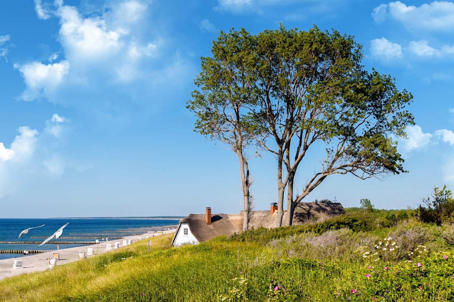 Fischland-Dar-Zingst: Karte, Tipps & Infos fr die Region | ADAC Maps