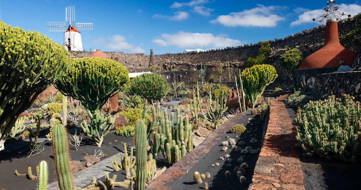 Jardn de Cactus, Teguise: Infos, Preise und mehr | ADAC Maps
