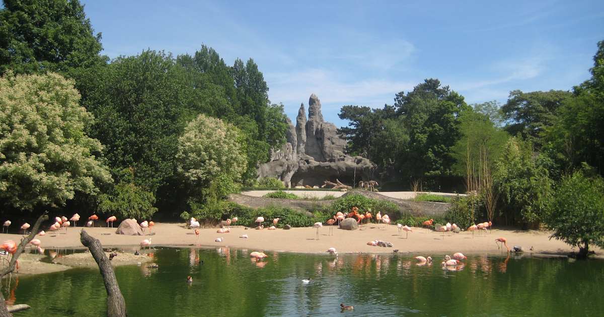 Hagenbecks Tierpark Rabatt Adac