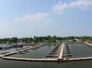 Port Royal