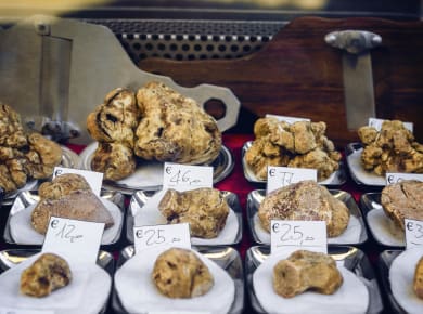 Alba, Fiera del Tartufo