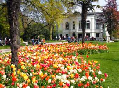 Amsterdam, ARTIS Zoo