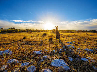 Penneshaw, Kangaroo Island