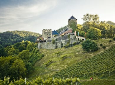 Bad Radkersburg, Steirische Schlösserstraße