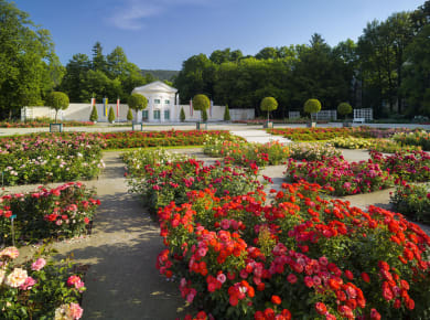 Baden bei Wien, Rosarium