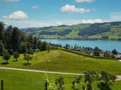 Baldegg, Baldegger See