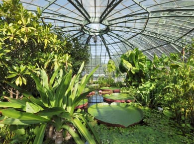 Botanischer Garten der Universität Basel