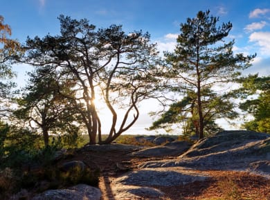 Parc naturel régional du Gâtinais français