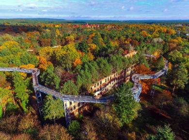 Beelitz-Heilstätten, Baumkronenpfad Beelitz-Heilstätten