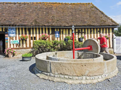 Beuvron-en-Auge, Route du Cidre
