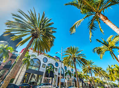 Beverly Hills, Rodeo Drive