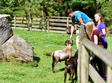 Bruck an der Mur, Naturschutzzentrum Weitental