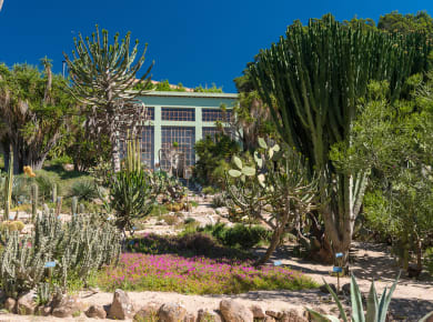 Hortus Botanicus Karalitanus