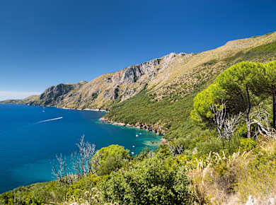 Cilento