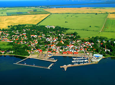 Marina Wiek