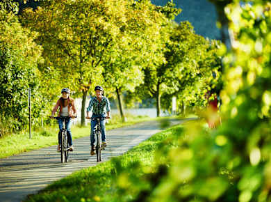 Daun, Maare-Mosel-Radweg