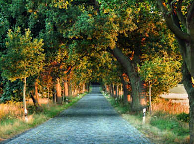 Alleenstraßen