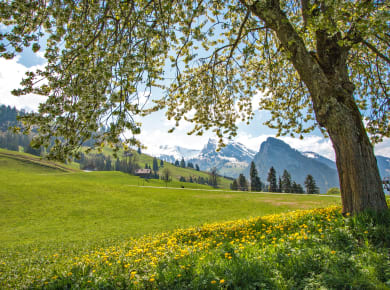 Erlenbach, Niedersimmental