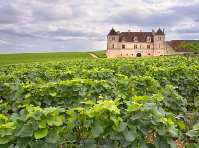 Dijon, Côte d'Or