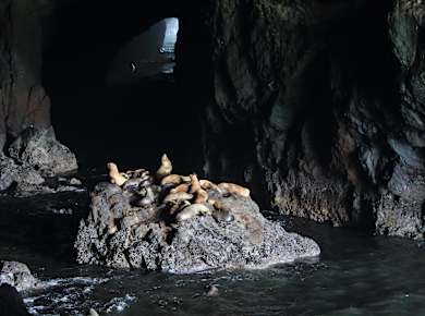 Florence, OR, Sea Lion Caves