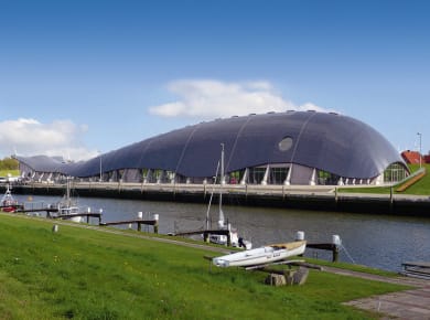 Friedrichskoog, Wal Willi