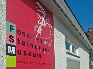 Fossilien- und Steindruck-Museum
