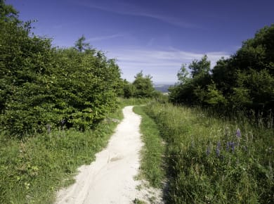 Hermeskeil, Saar-Hunsrück-Steig
