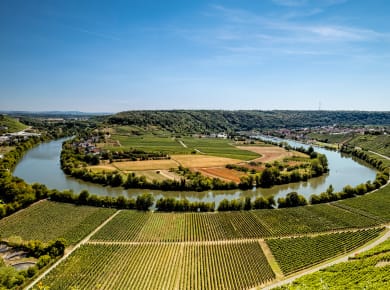 Hessigheim, Hessigheim
